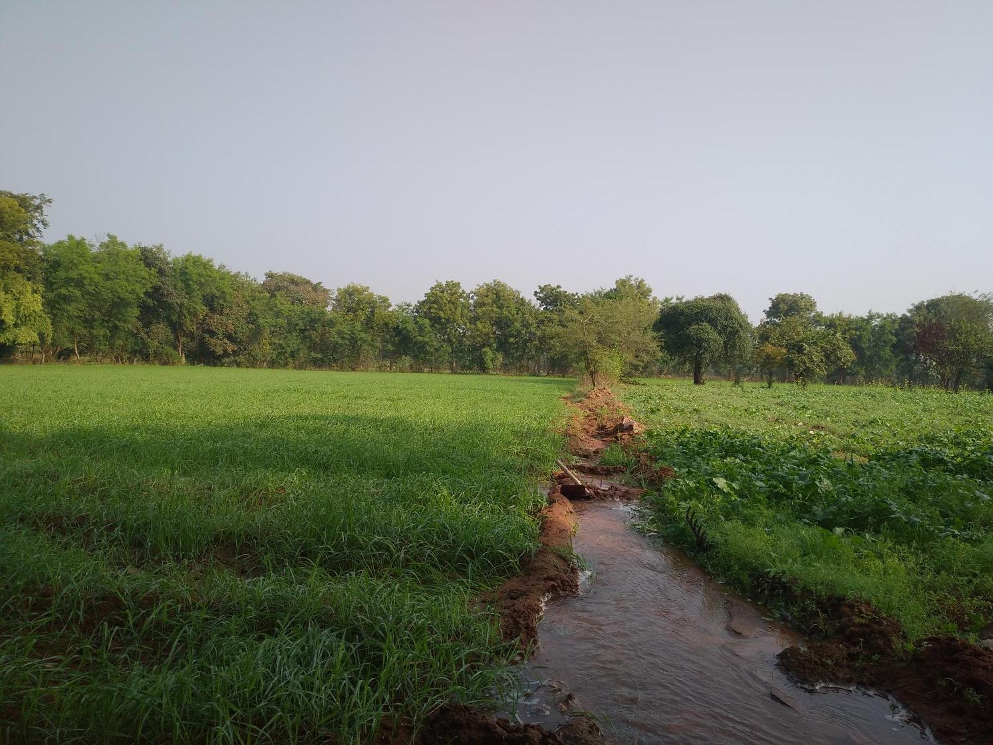 Maji Homestay Khajurāho Buitenkant foto